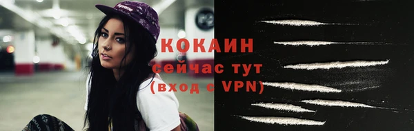 mdpv Вяземский